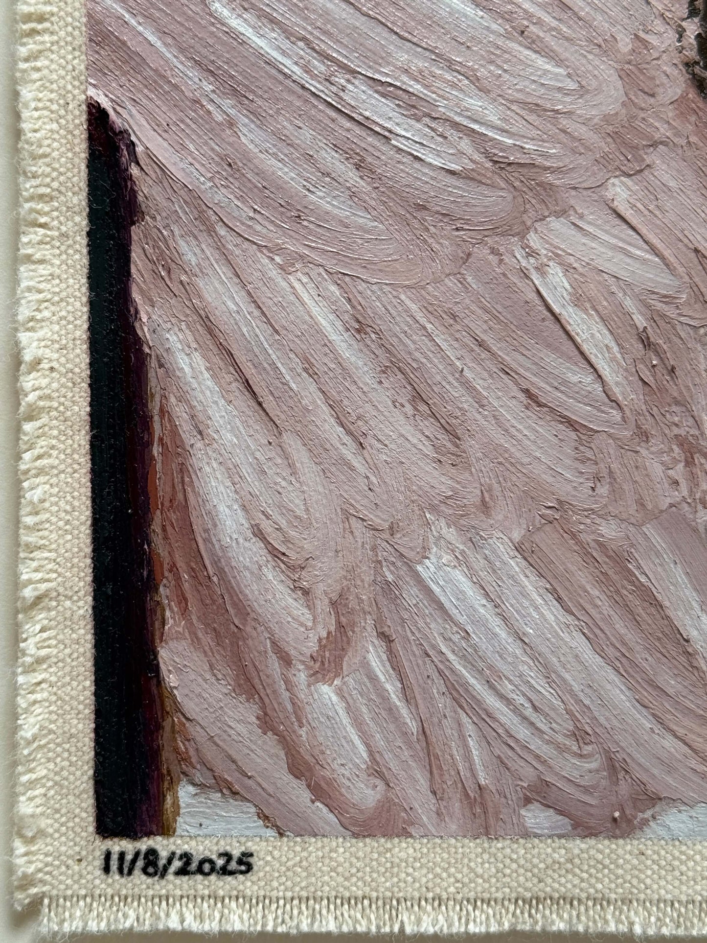 11/8/2025